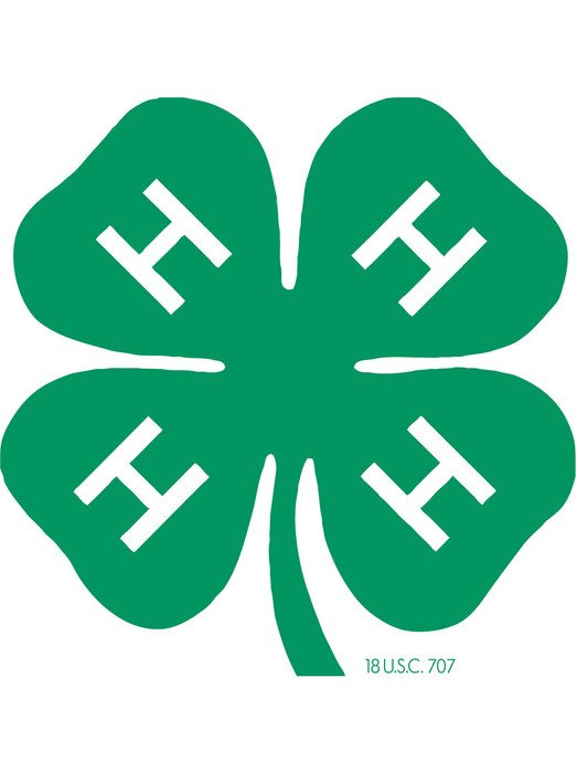 4 H Logo N3