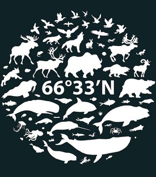 Arctic Animals Clip Art N4