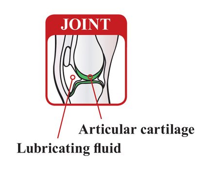 Glucosamine Structure drawing