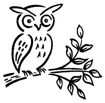 Owl Clip Art N113