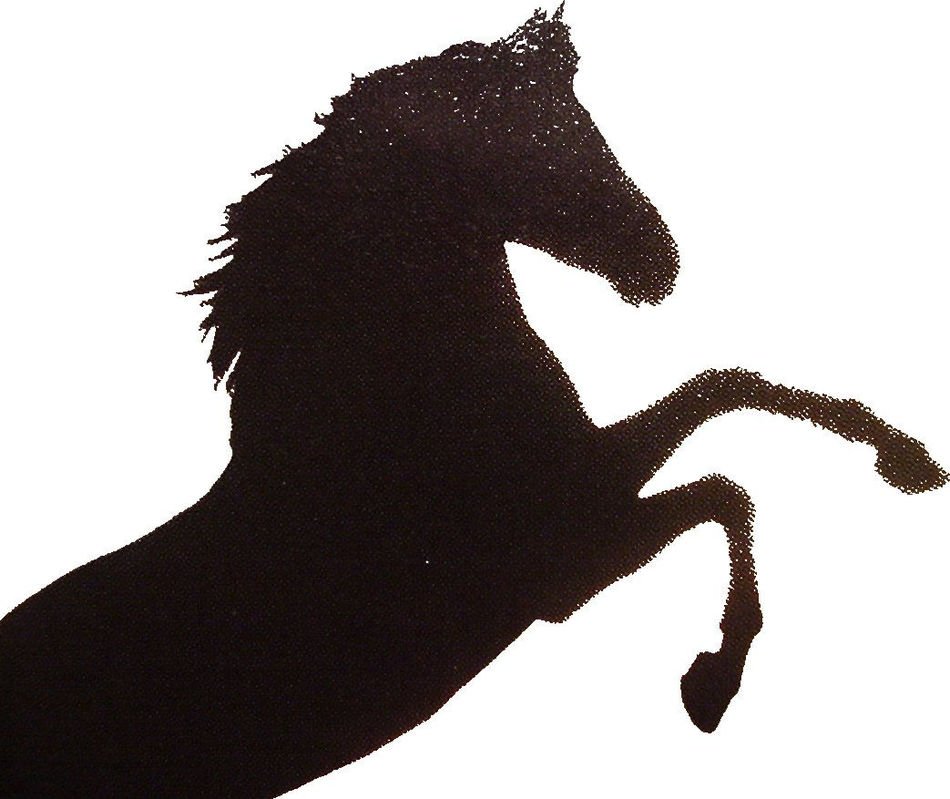 black horse silhouette reared up