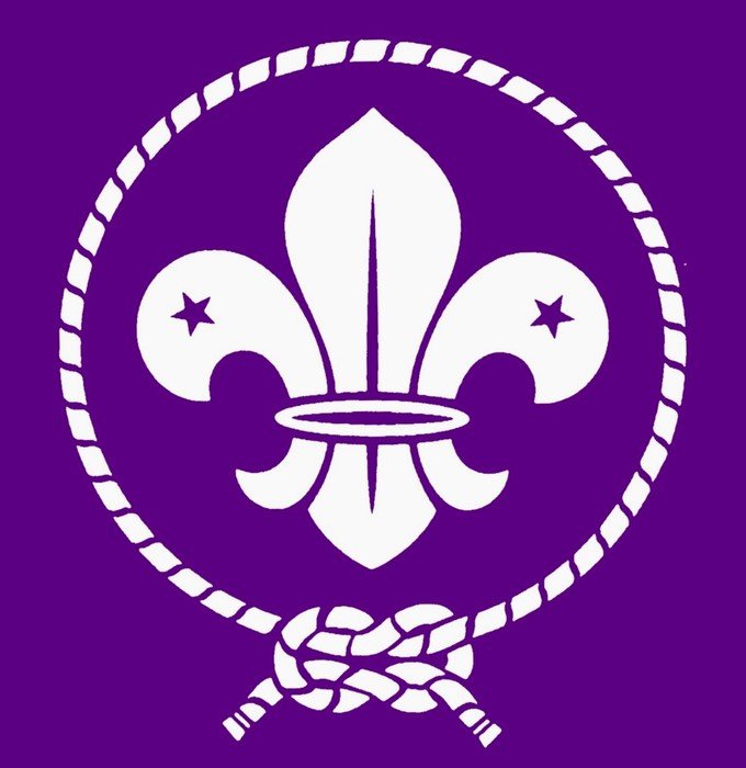 clipart of the World Scout Logo