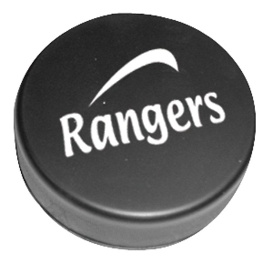 Ice Hockey Puck N2