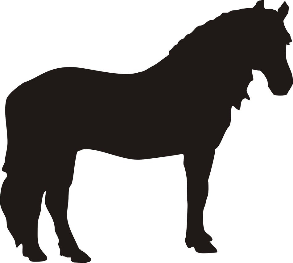 Horse Head Silhouette N8