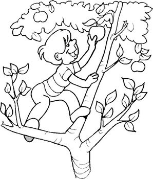 Coloriage Denfant Cueillette Des Pommes Perch eacute Dans Le Pommier