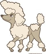 Poodle Clip Art N18
