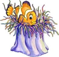 Cartoon Clown Fish N5