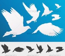 Flying Bird Silhouette N6