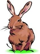 Brown Rabbit Clip Art N3