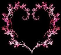 flower pink heart on a black background