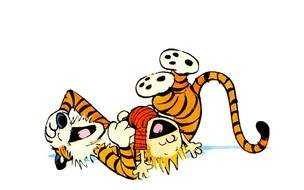 Calvin Hobbes happy drawing