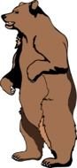Standing Bear Clip Art drawing
