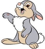 Thumper Bunny