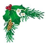 Holly and fir branches, corner, Clip Art