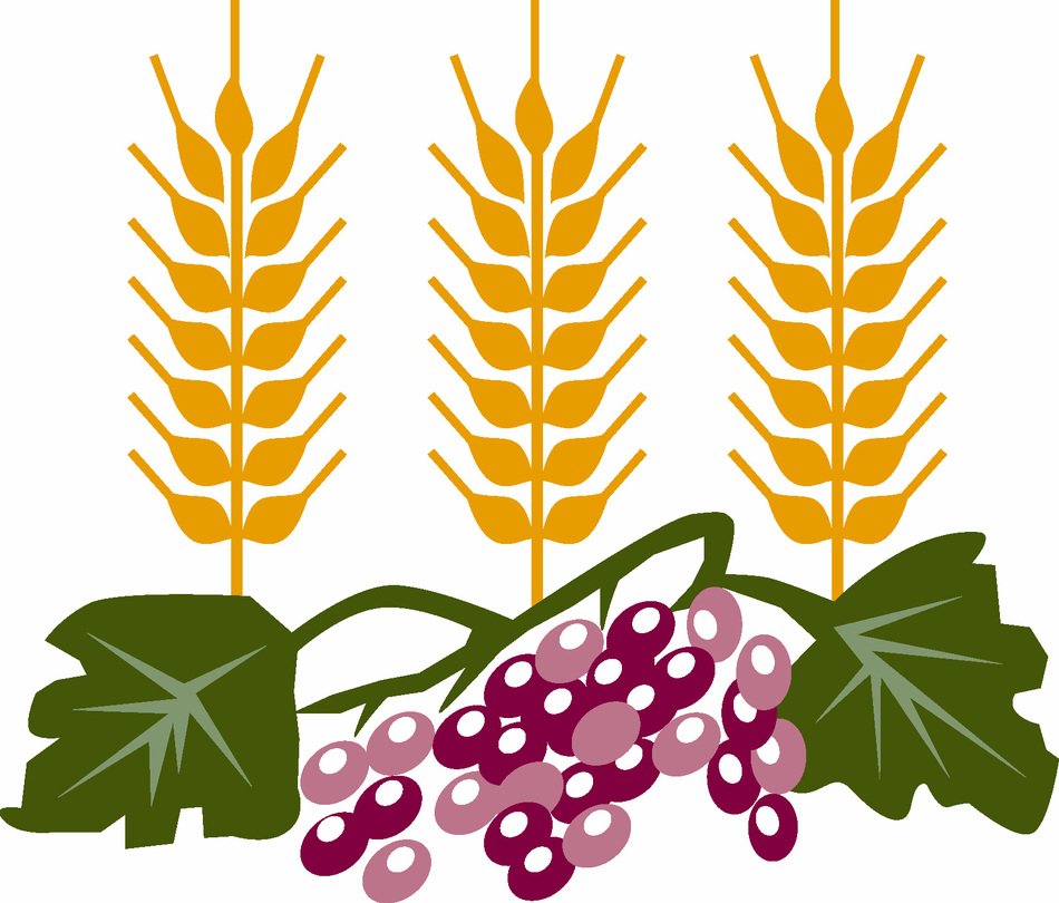 painted three yellow ears and grapes