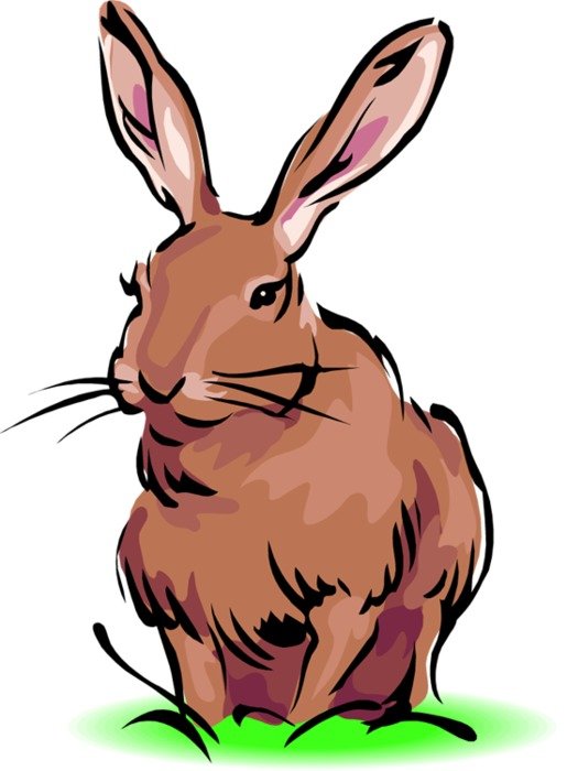Brown Rabbit Clip Art N3