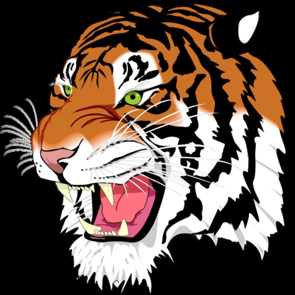 High School Tiger Logos N3