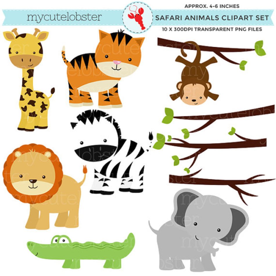 Safari Vest Clip Art