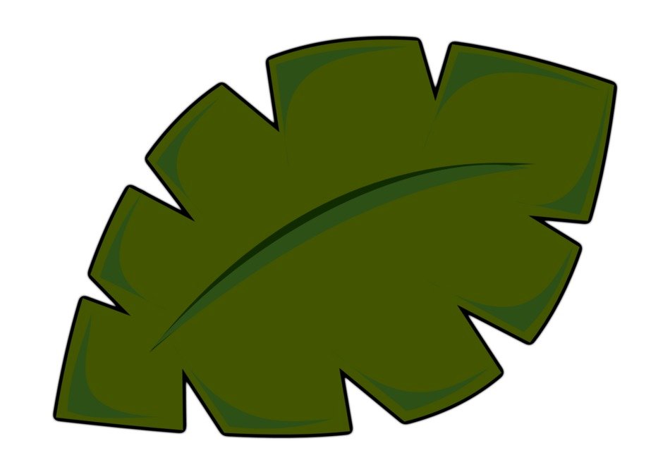 Palm Tree Leaf Clip Art N7