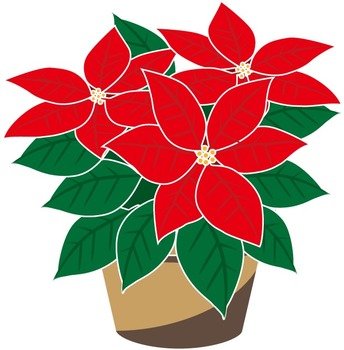 Poinsettia Plant Clip Art