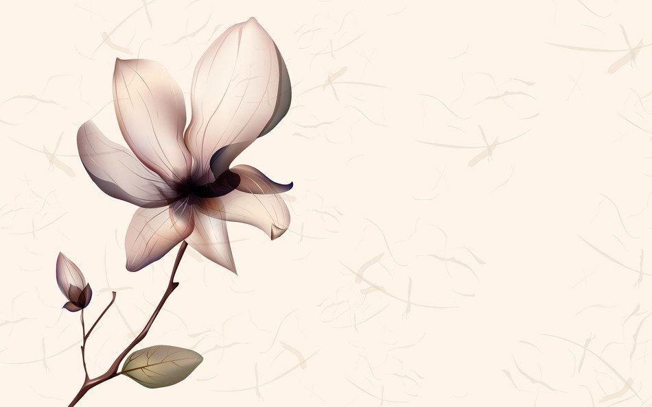 Clipart of Spring Flowers and White Background