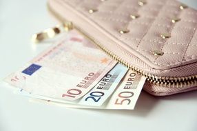 wallet with euro money