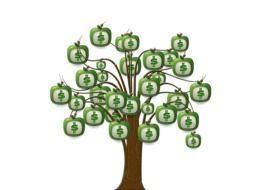 tree with dollar fruits on a white background as an illustration