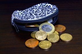 coins in a women's wallet