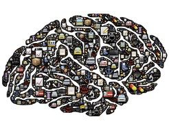 brain mind obsession work activity and planning