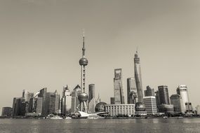 black and white photo of skyscrapers in Shanghai