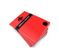 annual report books at pile