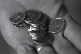 coins in hand in black and white image