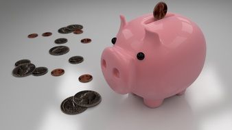 ceramic piggy bank for coins