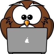 owl near the laptop