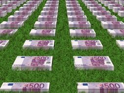 bundles of euro on the green grass