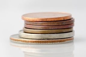 coins or cash