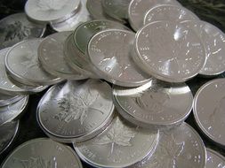 money dollars coins