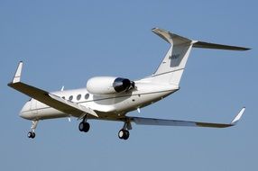 jet g 4 gulfstream