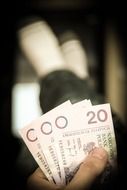 Polish banknote money
