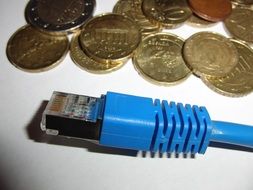 the network cable lies near the coins on the table