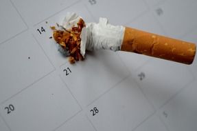 the rest of the cigarette on the calendar sheet