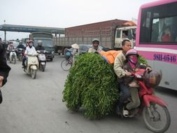 street traffic, vietnam