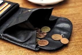 coins in the black wallet