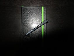 pen on a black diary