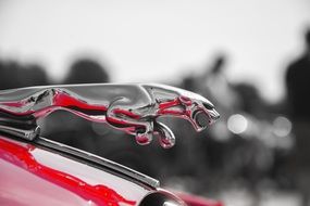 Jaguar sign on the hood