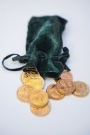 gold coins in a small bag