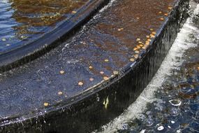 Coins in a fountain