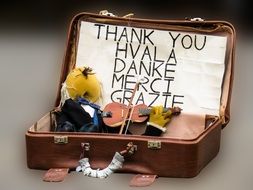 puppet doll star fig in suitcase