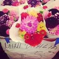 Picture of the flowers in a basket