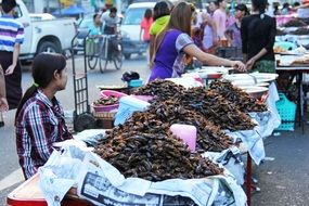 Selling fried cockroaches in the Chinatown